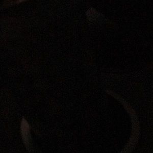 Meet your Posher, Ricardo